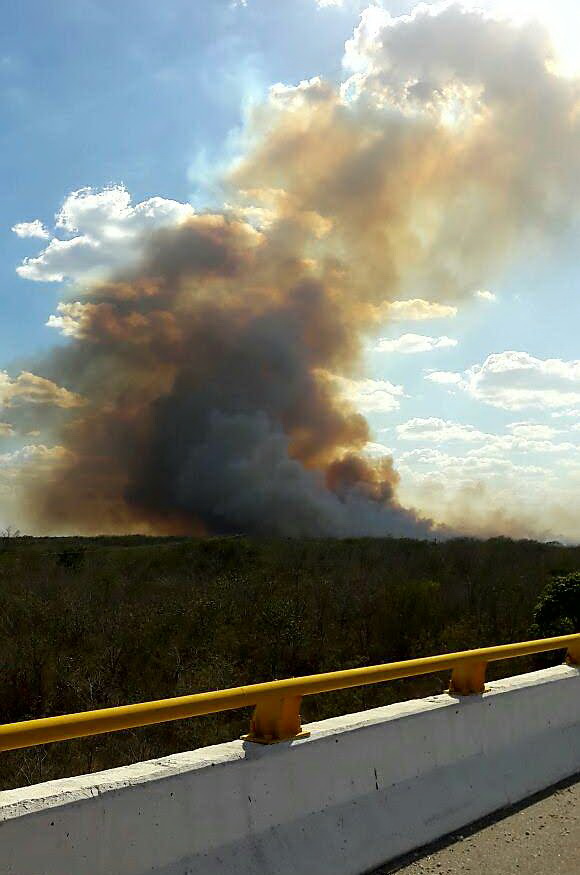 Reportan dos incendios forestales en Hunucmá