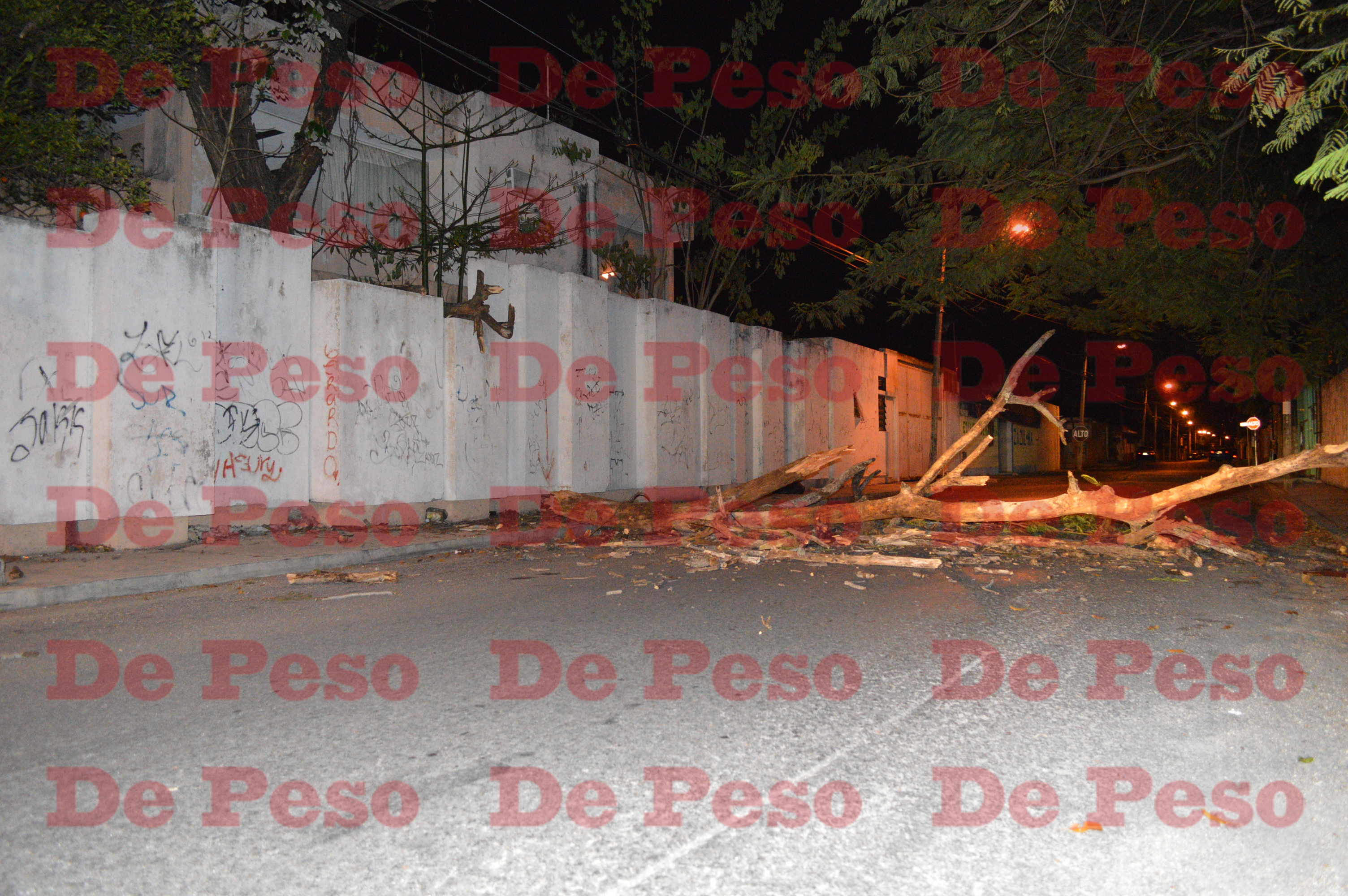 Rama cae y obstaculiza el paso en calle del centro de Mérida