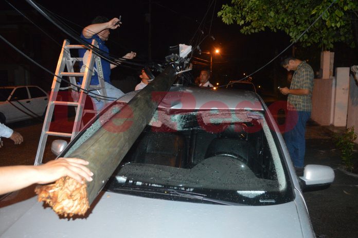 turbonada deriva en árboles y postes caídos en Mérida