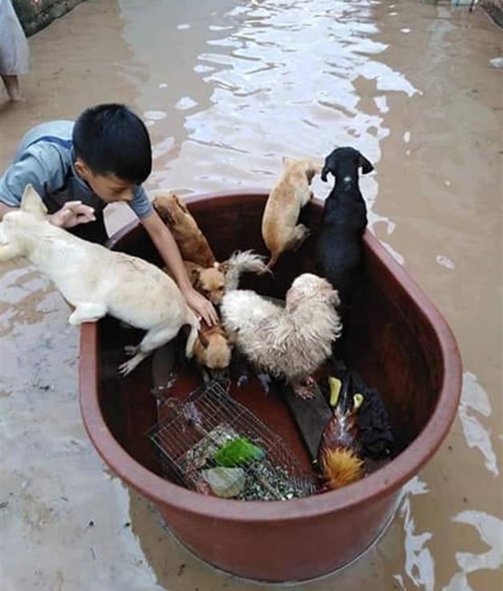Niño héroe: salvó a sus mascotas de inundación en Sinaloa
