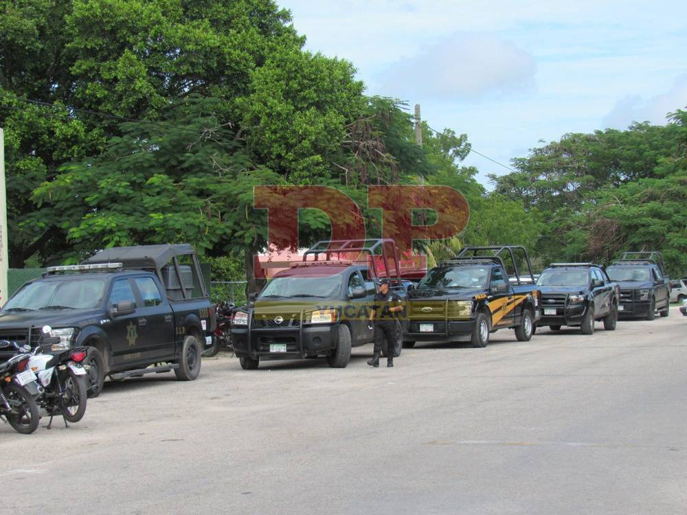 Les cayeron perros de fino olfato a estudiantes de Izamal