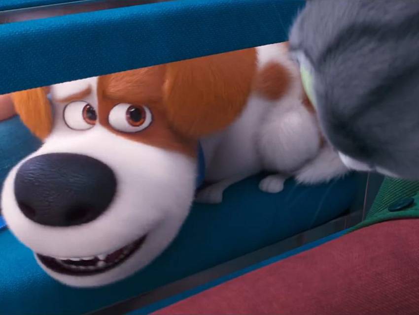 Lanzan Nuevo Tráiler De La Cinta La Vida Secreta De Tus Mascotas 2