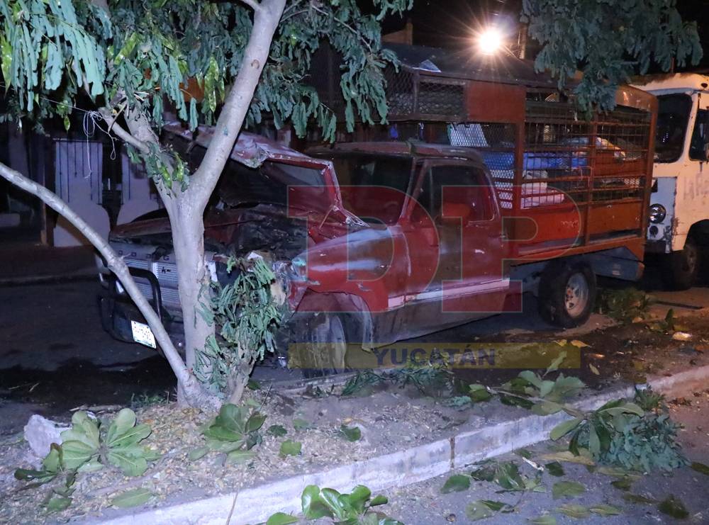 Le tronó una rótula y se fue derechito contra el árbol