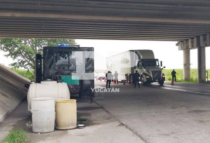 Decomisan 400 kilos de marihuana en retén de la entrada a Mérida Decomisan 400 kilos de marihuana en retén de la entrada a Mérida