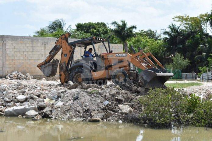 Retiran escombro de rellenos ilegales en ciénega de Chicxulub Puerto Retiran escombro de rellenos ilegales en ciénega de Chicxulub Puerto