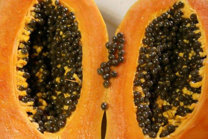 Como comer semillas de papaya para adelgazar Como comer semillas de papaya para adelgazar
