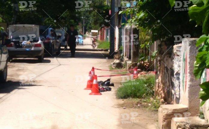 Asesinan a balazos a un perro en Tekax