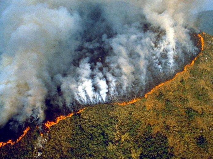 Se avecina una 'cascada de crisis' ambiental: científicos - De ...