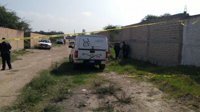 Encuentran 25 cuerpos en fosa clandestina de Jalisco - De Peso Yucatán