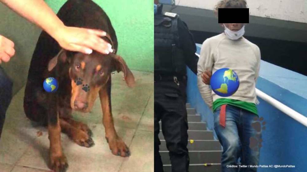 Detienen A Sujeto Que Abusaba Sexualmente De Perrita En La Vía Pública 4794