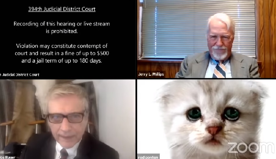 Abogado se viraliza al 'volverse' gato en audiencia por Zoom (video)